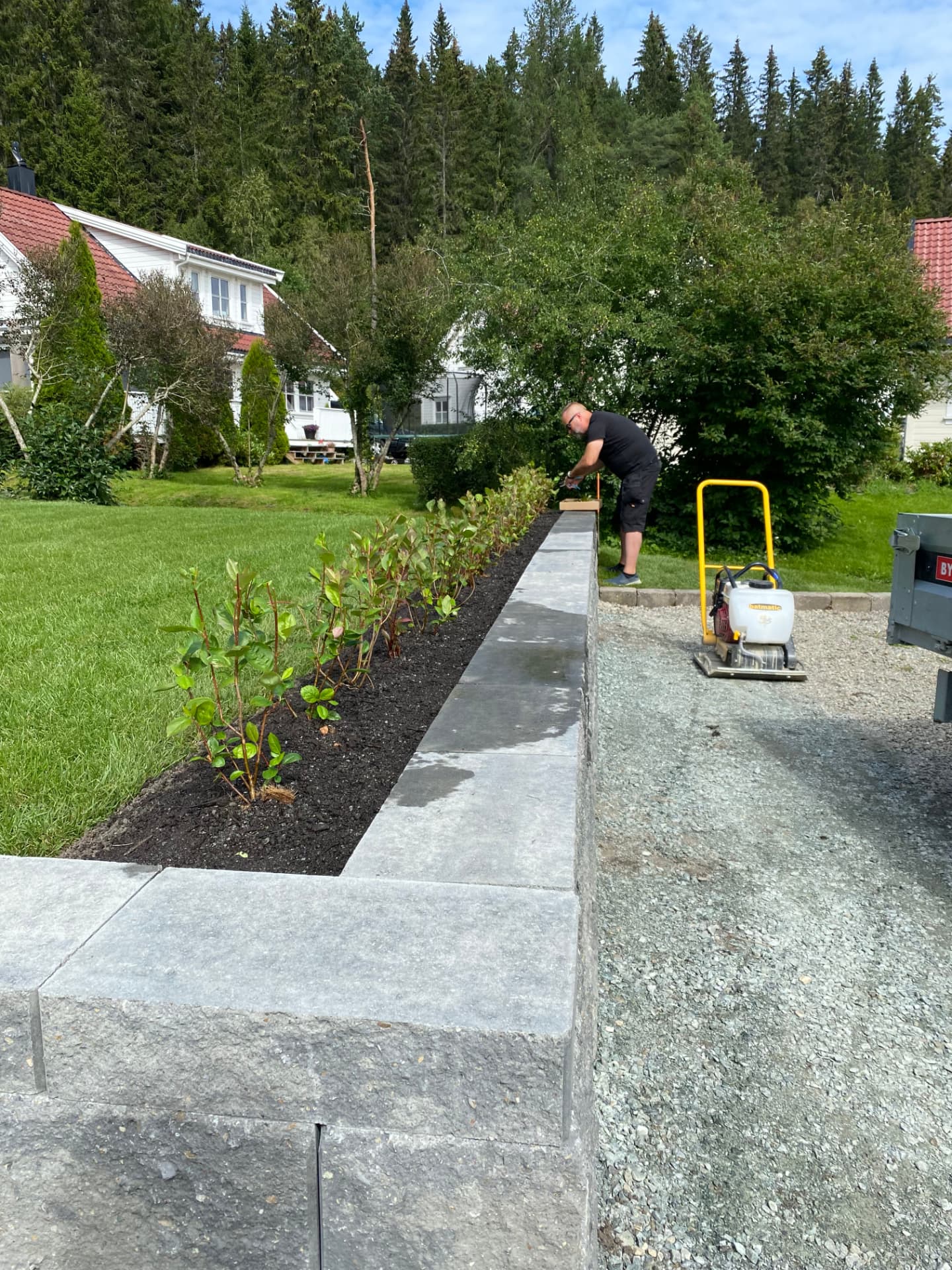 Beplantning i ny mur ved gårdsplass
