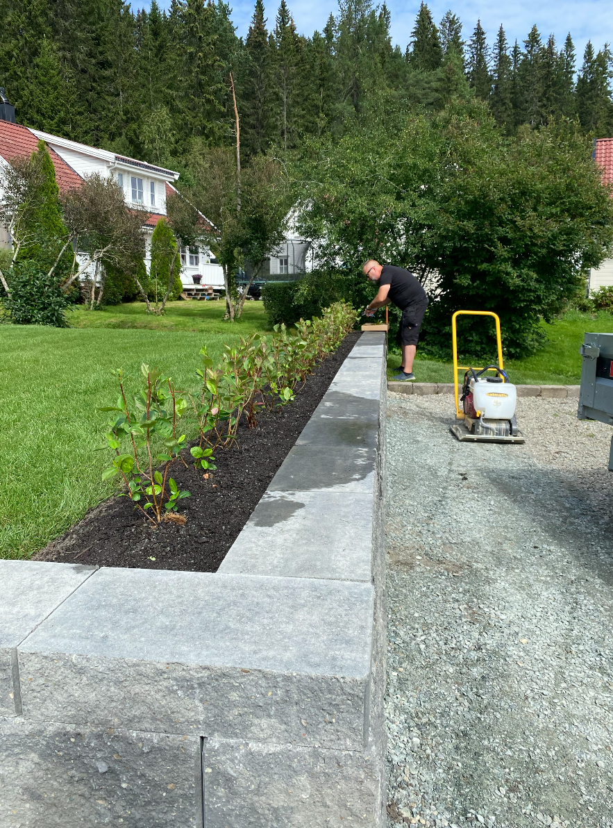 Beplantning og grønt uteområde fra et av våre prosjekter